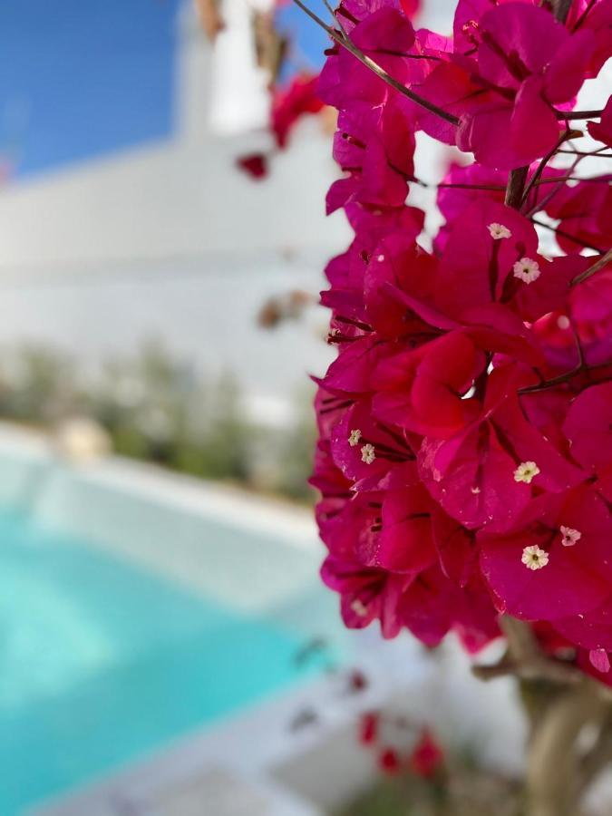 Villa Sal - Alvor Exterior foto